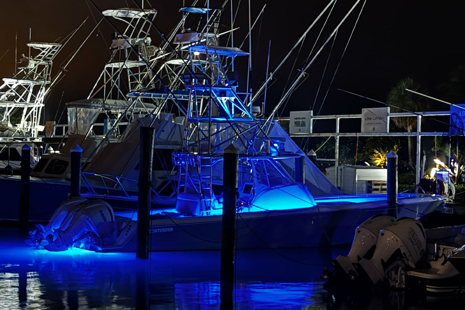 Pelagic Raptors Home - Pelagic Raptors Charters